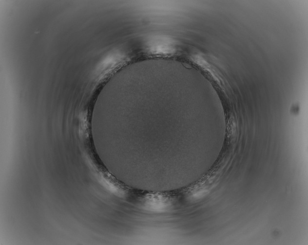 X0000094440764200711081248