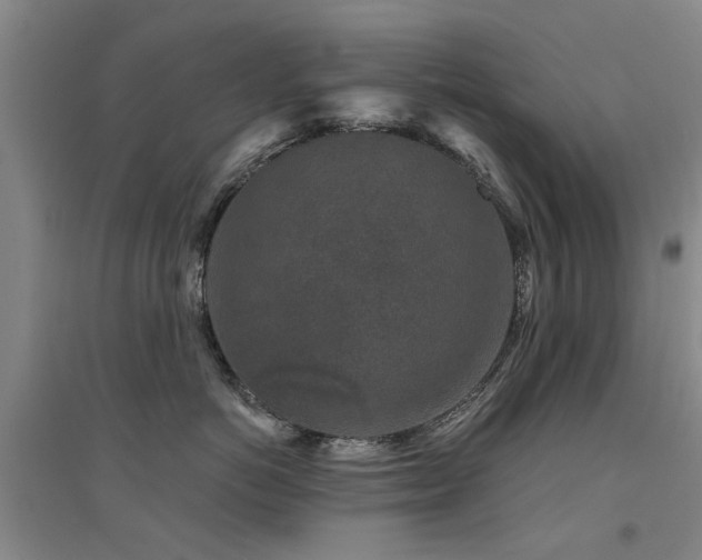 X0000094440766200711081248