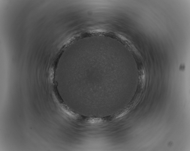 X0000094440767200711081248