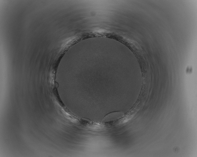 X0000094440768200711081248