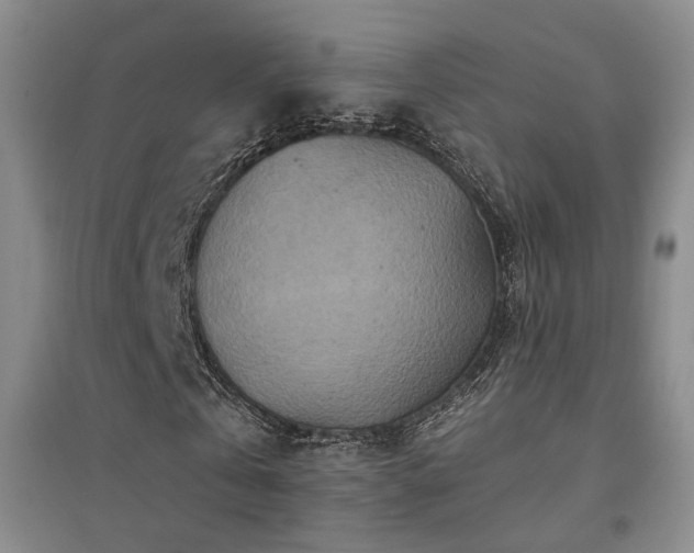 X0000094440769200711081248