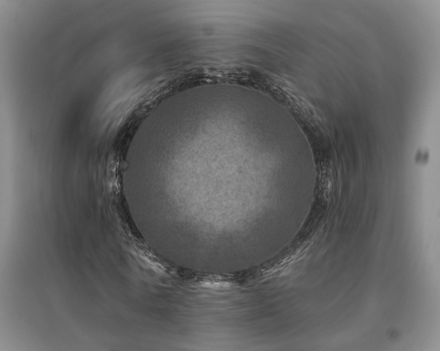 X0000094440770200711081248