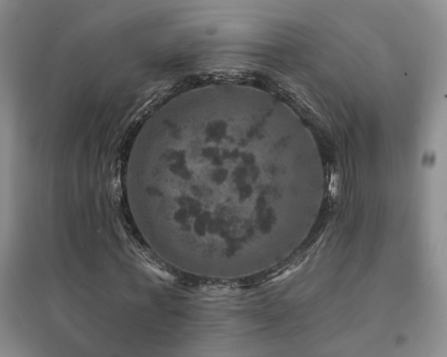 X0000094440771200711081248