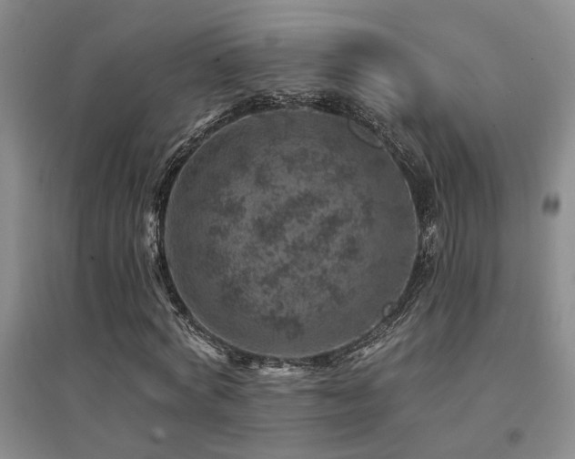 X0000094440772200711081248