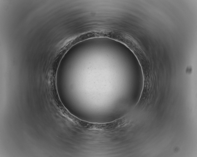 X0000094440773200711081248