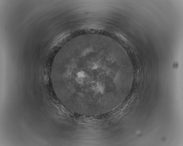 X0000094440774200711081248