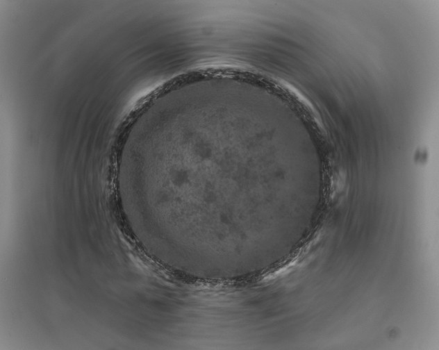 X0000094440775200711081247