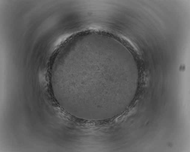 X0000094440776200711081247