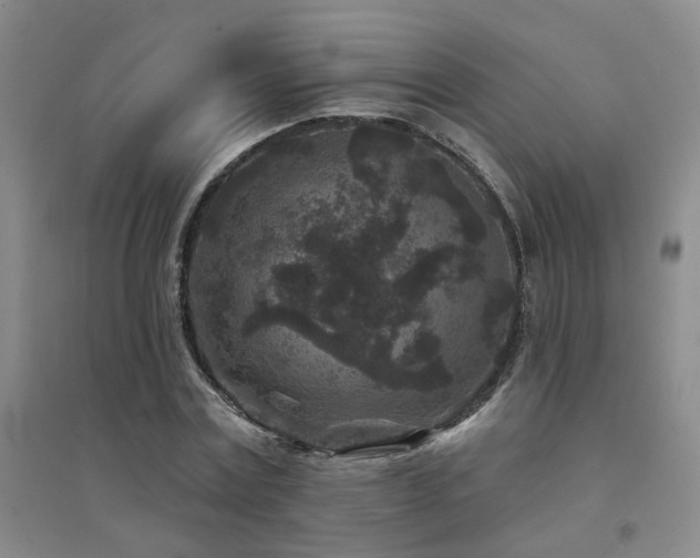 X0000094440779200711081247