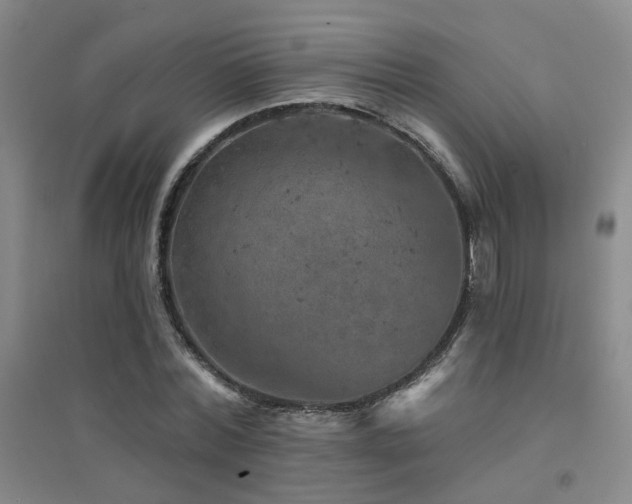 X0000094440780200711081247