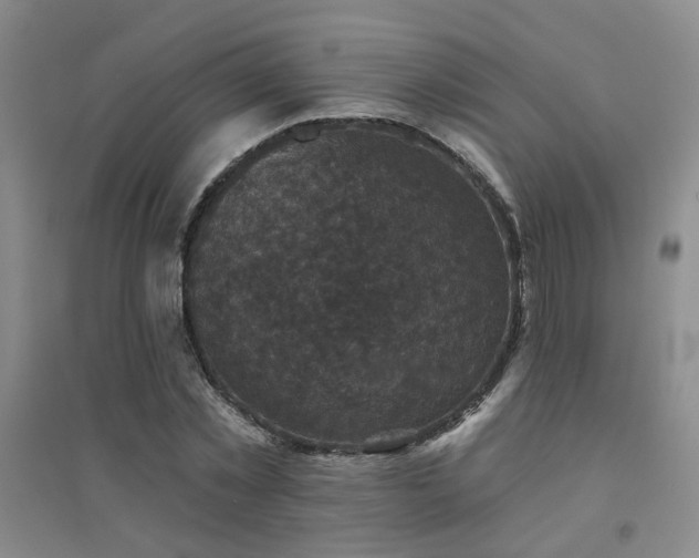 X0000094440781200711081247