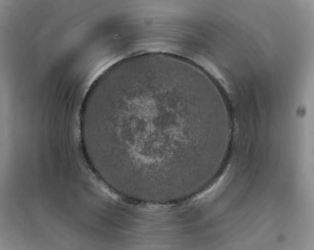 X0000094440782200711081247