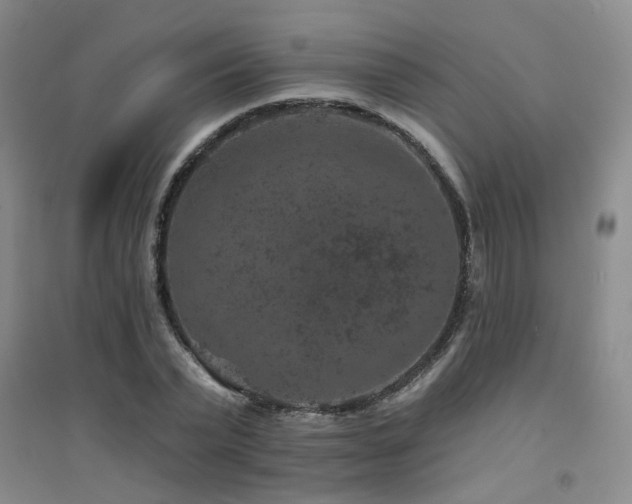 X0000094440783200711081247