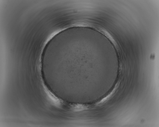 X0000094440787200711081247