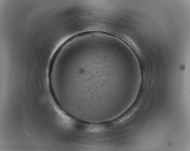 X0000094440788200711081247
