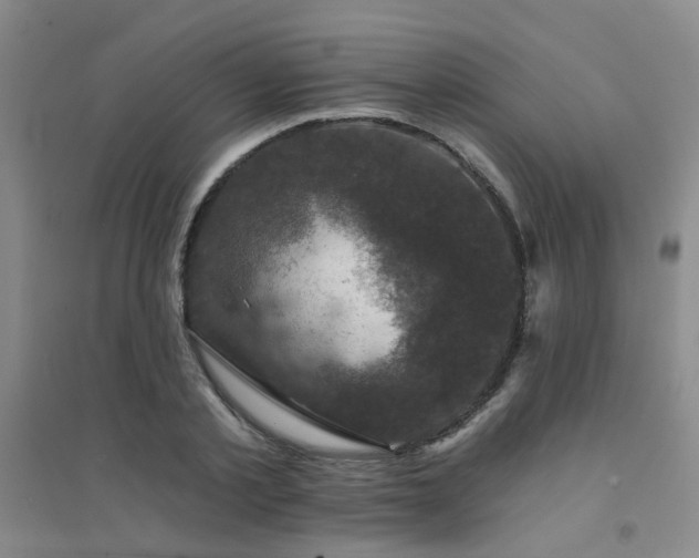 X0000094440789200711081247