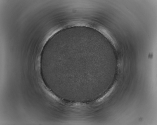 X0000094440790200711081247