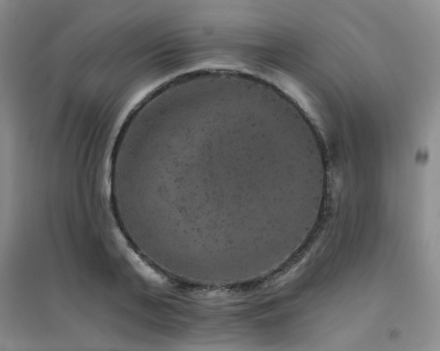 X0000094440791200711081247