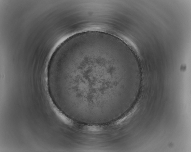 X0000094440792200711081247