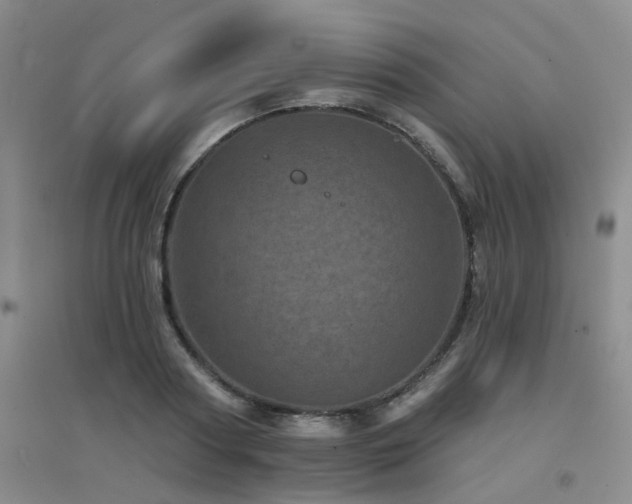 X0000094440794200711081247