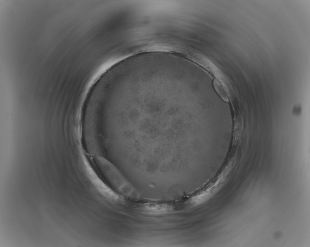 X0000094440795200711081247