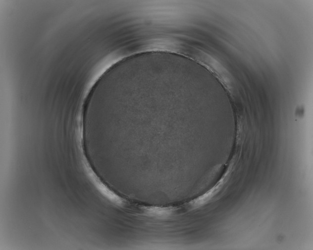 X0000094440796200711081247