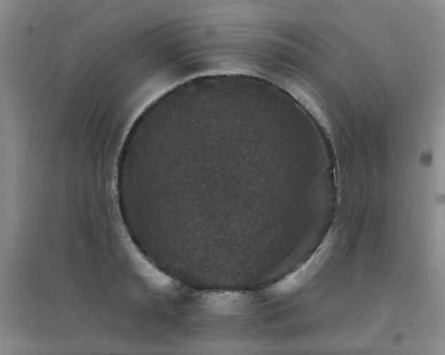 X0000094440797200711081247