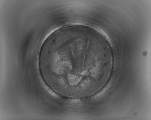 X0000094440798200711081247