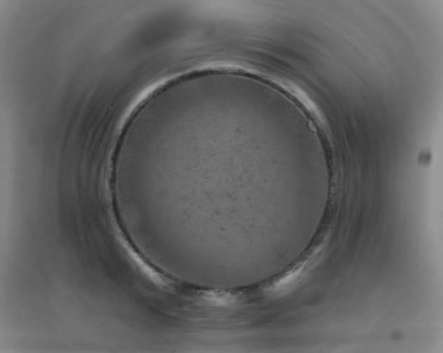 X0000094440799200711081247
