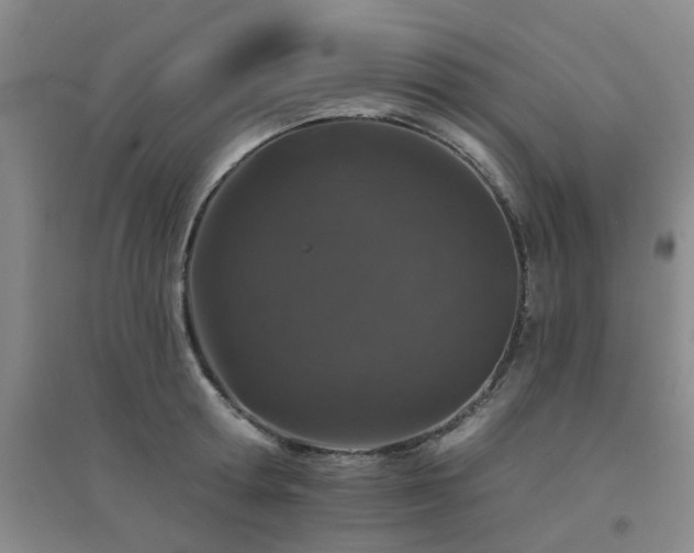 X0000094440802200711081247
