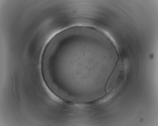 X0000094440803200711081247