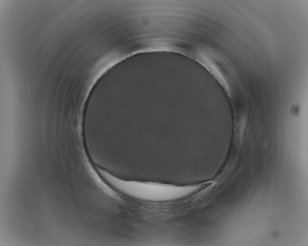 X0000094440805200711081247