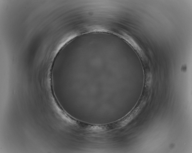 X0000094440806200711081247