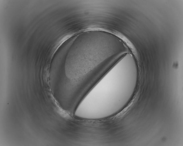 X0000094440809200711081247