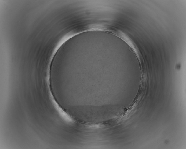 X0000094440811200711081247