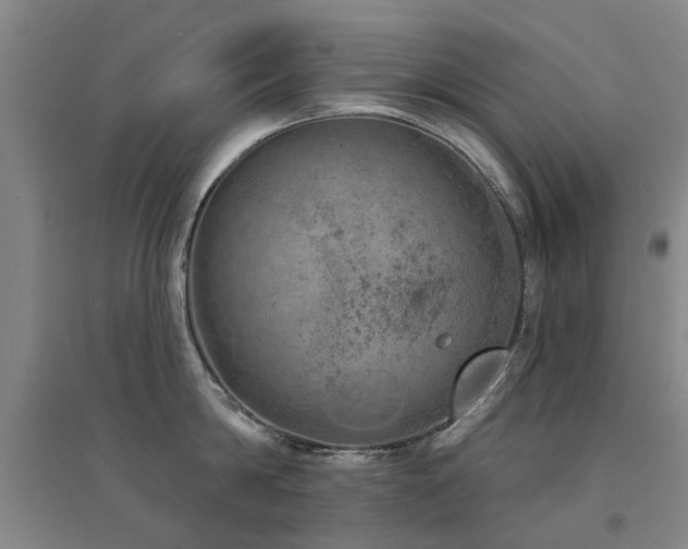 X0000094440814200711081247