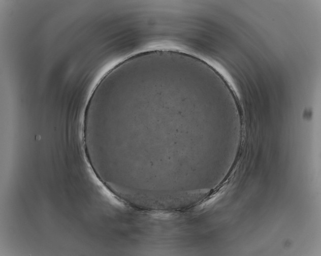 X0000094440815200711081247