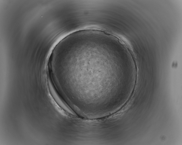X0000094440816200711081247