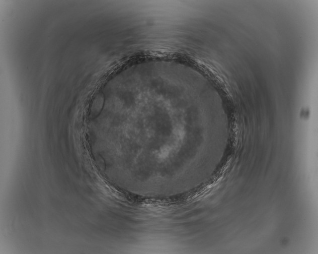 X0000094440817200711081246