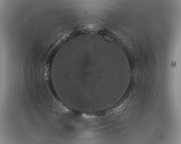 X0000094440818200711081246