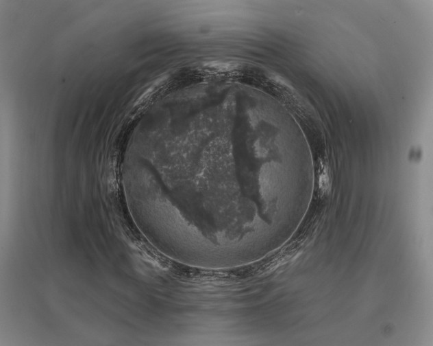 X0000094440819200711081246