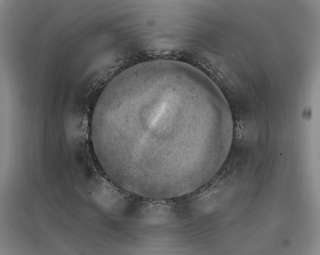 X0000094440820200711081246