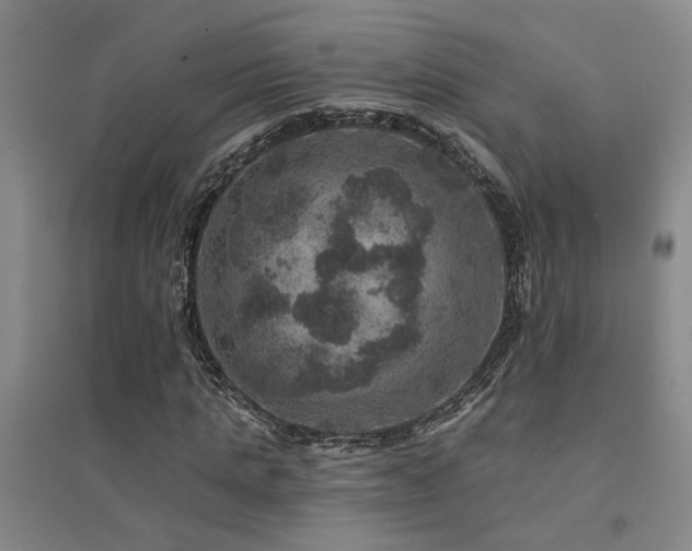X0000094440821200711081246