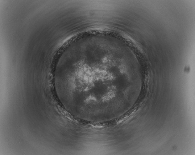 X0000094440822200711081246
