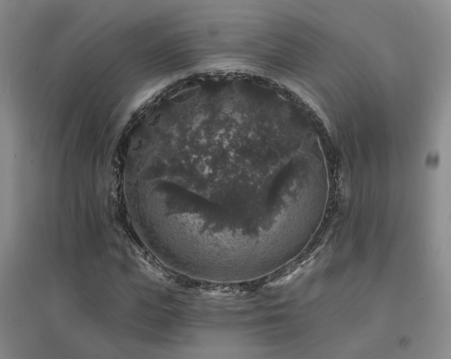 X0000094440823200711081246