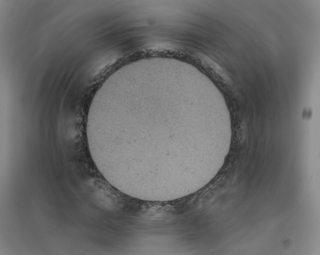 X0000094440824200711081246