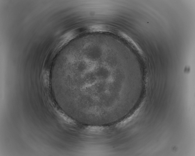 X0000094440825200711081246