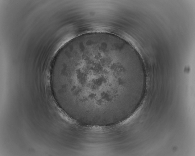 X0000094440827200711081246