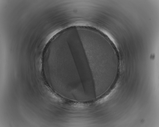 X0000094440829200711081246