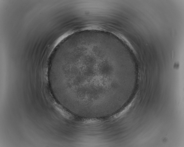 X0000094440830200711081246